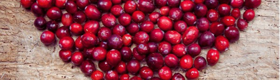 Berry Delicious: Are Cranberries in Season in Australia?